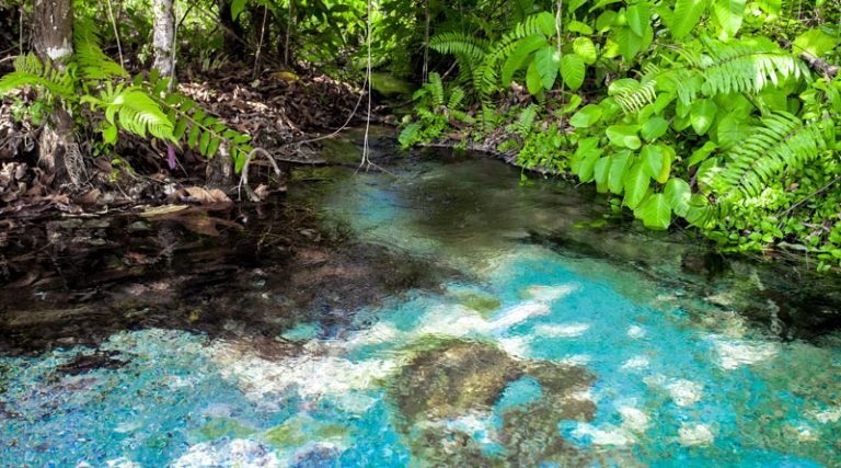 Emerald Pool – Piscina de Smarald în Krabi