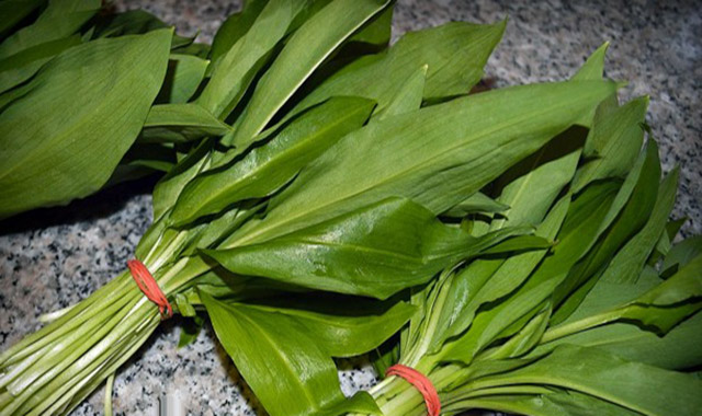 Leurda - Un produs natural foarte bun pentru sănătate