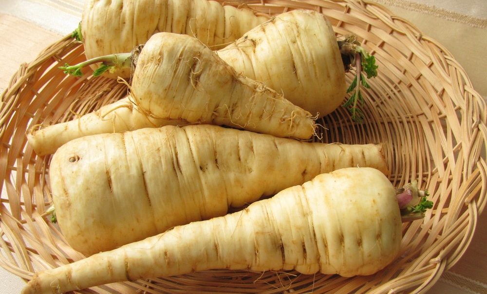 Păstârnacul și proprietățile medicinale ale acestuia - Reduce colesterolul