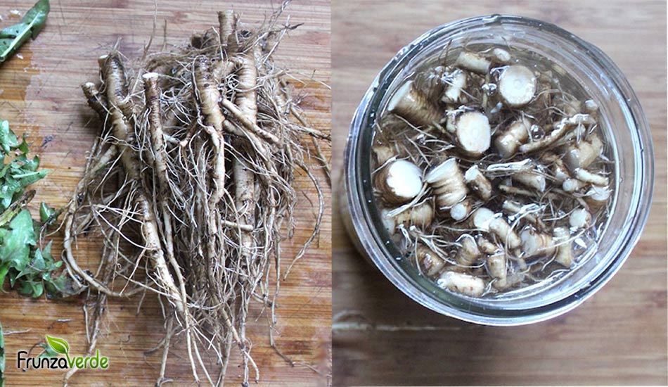 Tinctura de păpădie  - Iată pentru ce afecțiuni este bună aceasta