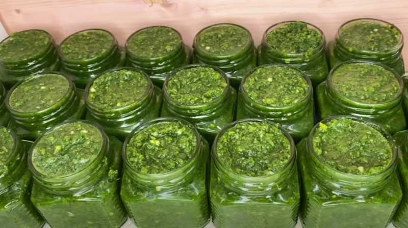 Pastă de verdețuri cu usturoi și ardei iute