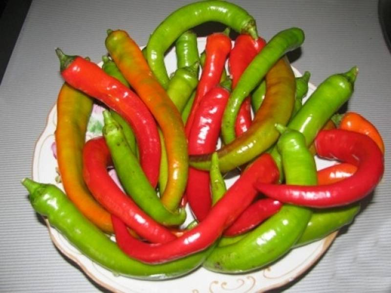 Ardei iuți murați cu ierburi - sunt aromați și delicioși