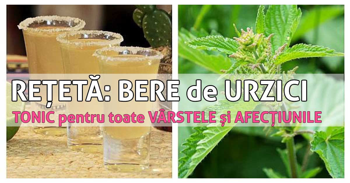 BERE de URZICI – un TONIC pentru toate VÂRSTELE și AFECȚIUNILE