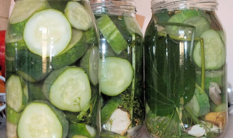 Castraveți murați la borcan - rețetă cu miere de albine și usturoi