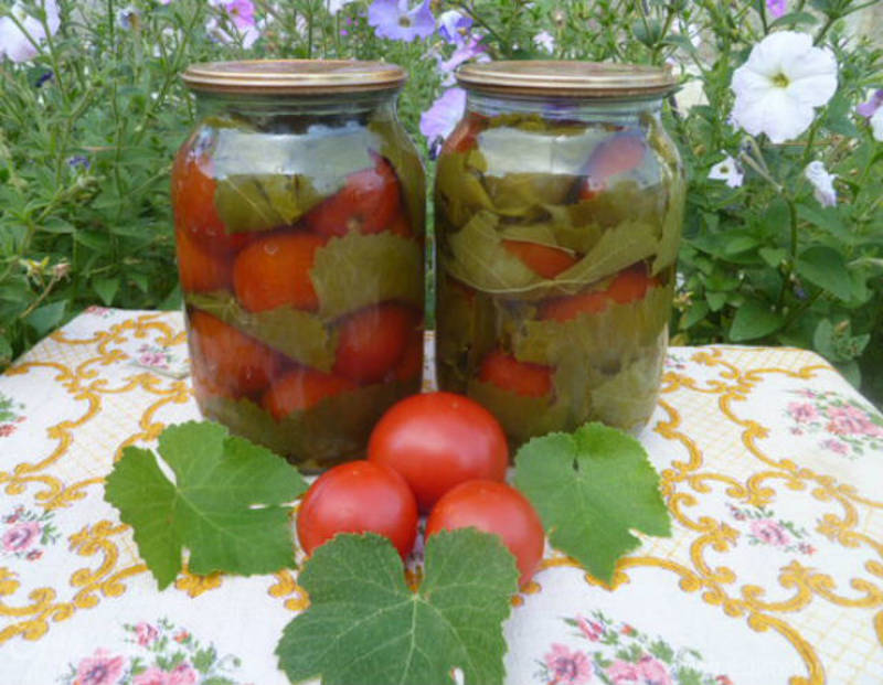 Roșii cu frunze de viță de vie la borcan - o rețetă nouă pentru multe gospodine