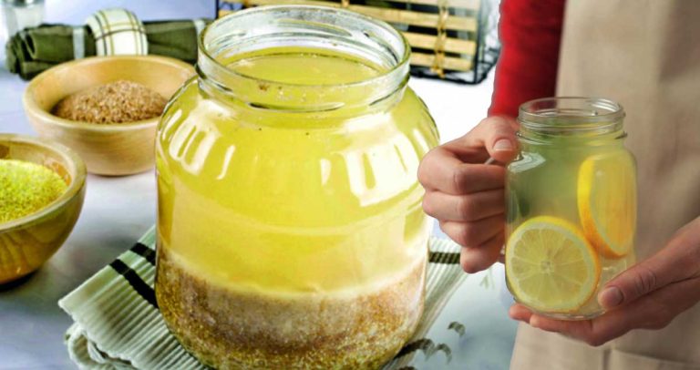 BORȘUL de PUTINĂ din TĂRÂȚE este UN REMEDIU Recomandat Pentru Ficat