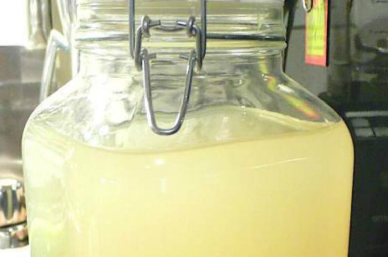 Borșul - Băutura românească bună pentru sănătate și plină de antioxidanți naturali