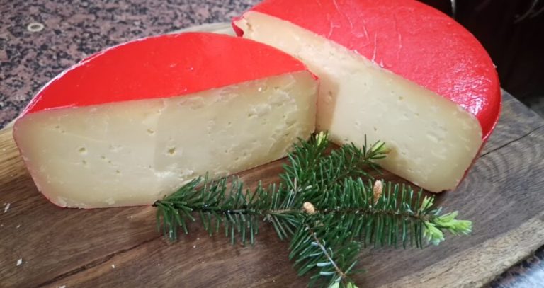 Brânză de casă maturată timp de 6 luni: rețetă completă