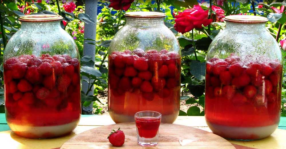 Căpșunata de Casă - O Băutură Fină și Aromată! Uite Rețeta Mea pe Care o Fac An de An