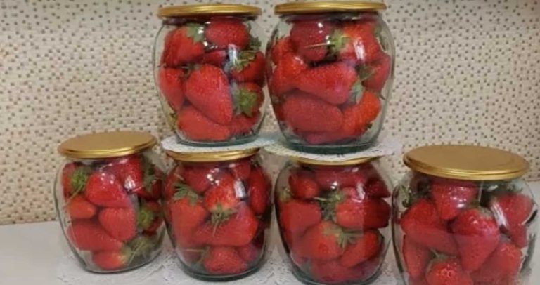 Căpșuni la borcan – aromate și bune pe tot parcursul anului: Rețetă simplă pentru conservarea căpșunilor fără gătire