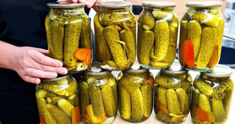 Conserv castraveții pentru iarnă doar așa: Fără sterilizare!