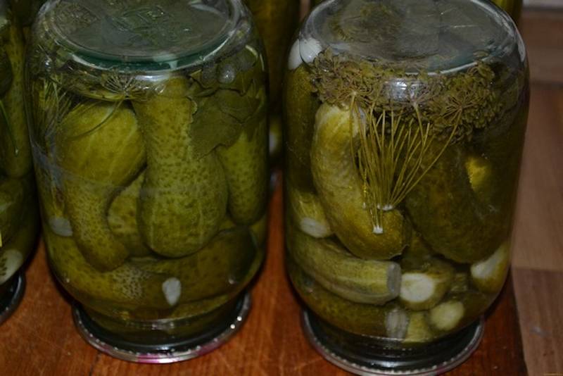 Castraveți murați pentru iarnă - Sunt absolut delicioși