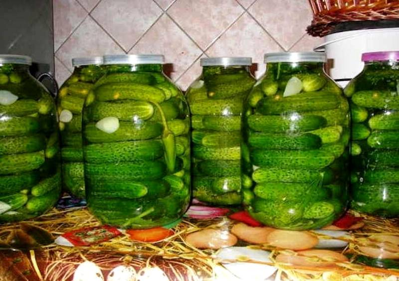 Castraveți marinați în vodcă - întotdeauna cea mai bună alegere