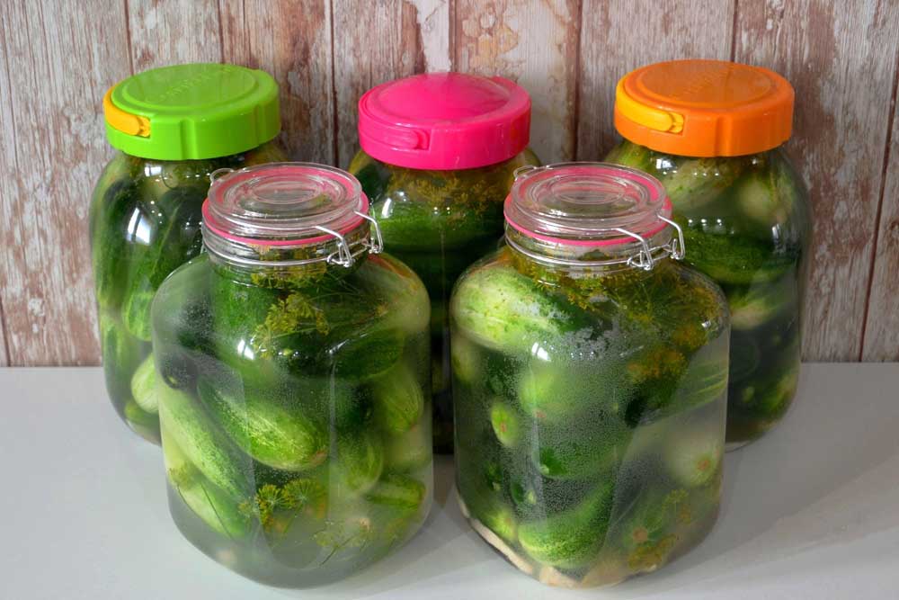 Castraveți murați - rețetă ușoară din 6 ingrediente