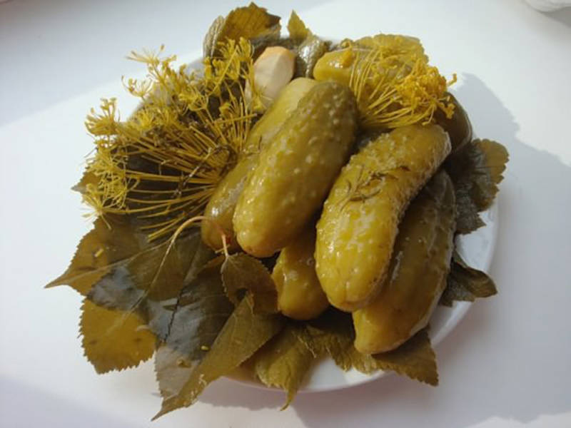 Castraveți murați cu frunze de stejar - Sunt delicioși. Iată cum se fac