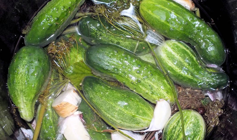 Castraveți murați - o rețetă ușoară