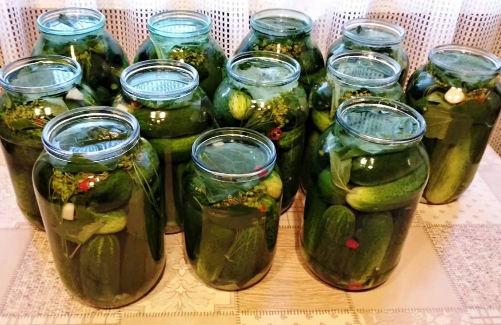 Castraveți murați în saramură - rețeta veche a bunicii mele