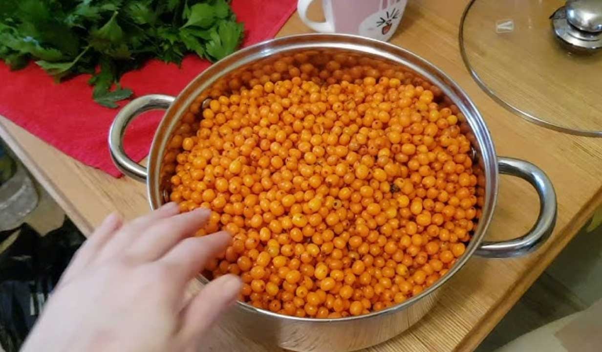 Congelare CĂTINĂ - Vezi cum se congelează corect s-o ai tot anul!