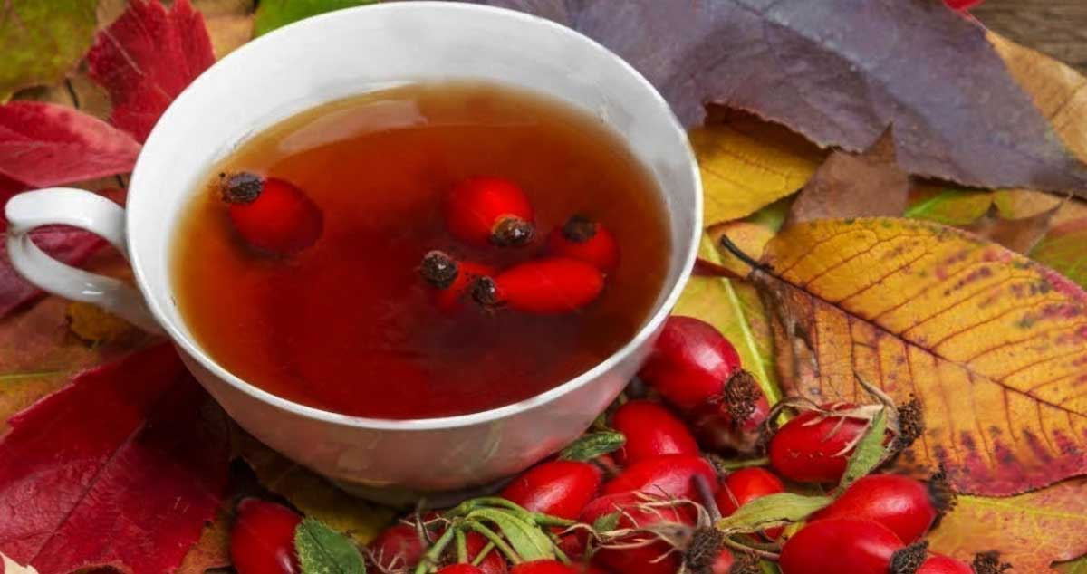 Ceaiul de Măceșe este ELIXIRUL NATURII Pentru INIMĂ și RINICHI