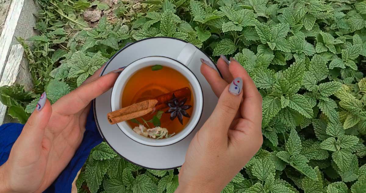 MENTA - PLANTA Care Ne Scapă de DURERILE de STOMAC şi Alungă SENZAȚIA de GREAȚĂ