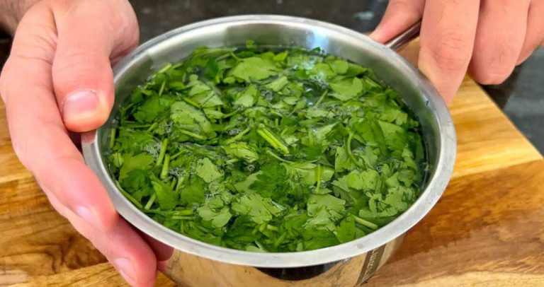 Ceai de PĂTRUNJEL – Am Început Cura Marți