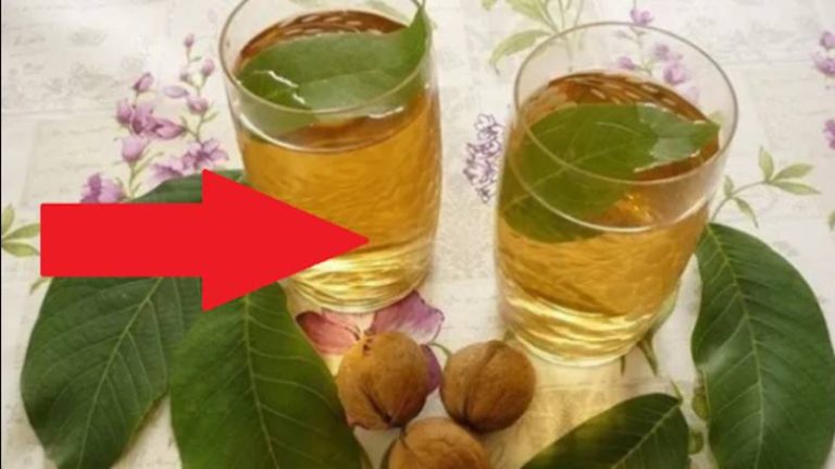 Ceaiul din frunze de nuc este foarte sănătos. Sigur vei dori să-l încerci după ce vei citi acest articol!