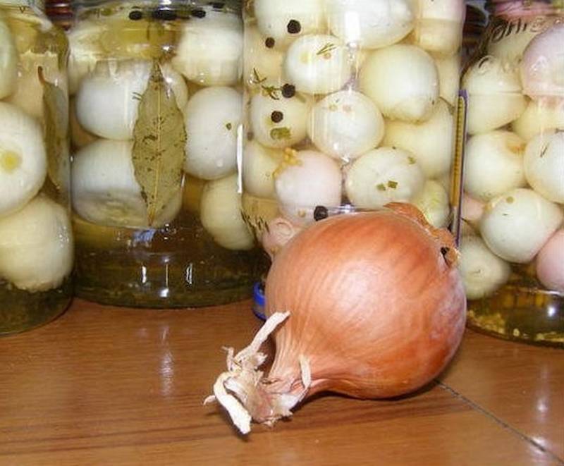 Ceapă murată pentru iarnă - arată minunat și are un gust delicios