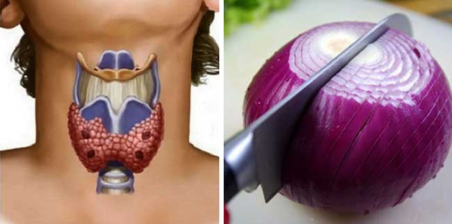 Capa roșie este bună pentru glanda tiroidă - vezi cum se folosește