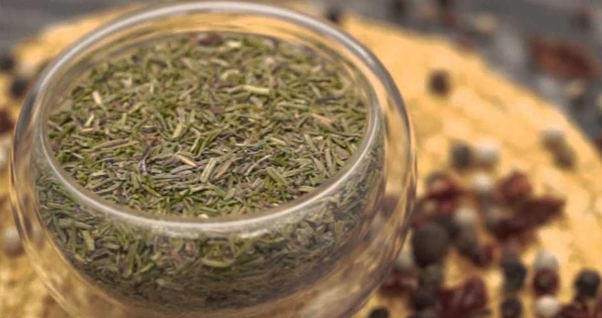 CIMBRUL - CONDIMENT cu EFECTE TERAPEUTICE în INFECȚII