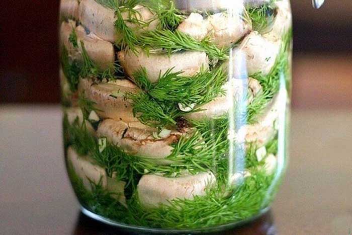 Ciuperci la borcan - pur și simplu delicioase!