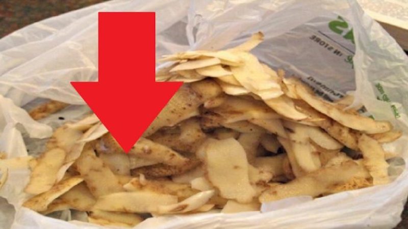 Nu mai arunca cojile de cartofi! Iată cum le poți folosi