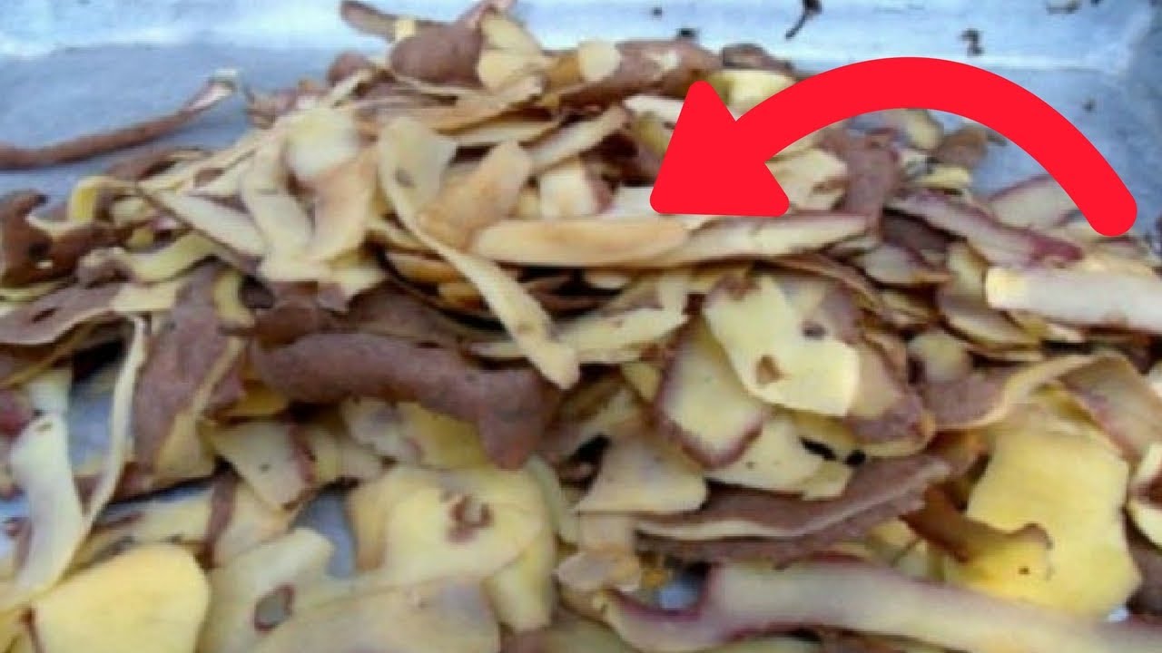 Sfaturi și trucuri prin care poți folosi cojile de cartofi într-un mod sănătos