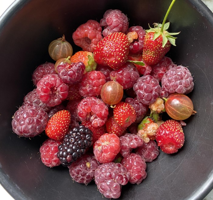 Cura de slabit cu fructe de padure - Una din cele mai gustoase diete - Dai jos până la 7 kg în prima săptămână