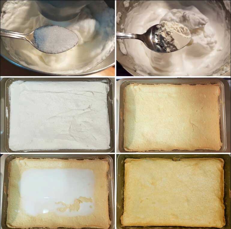 aluat albusuri faina