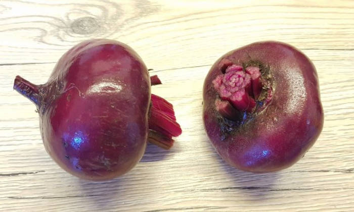 sfecla murata radacini si frunze taiate