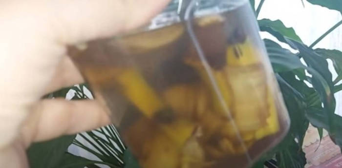 coaja de banana infuzie flori