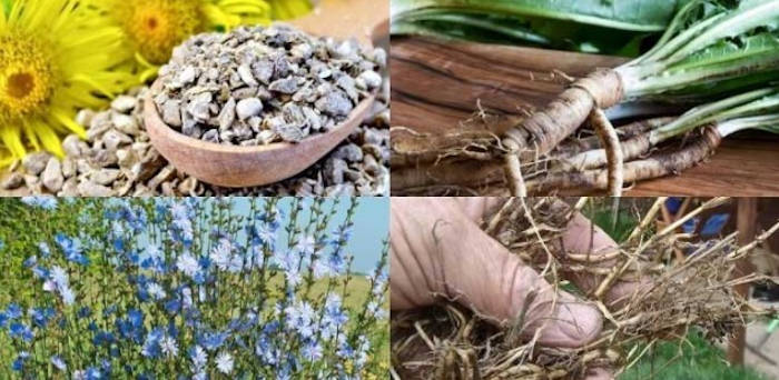 ierburi remediu pentru subtierea sangelui