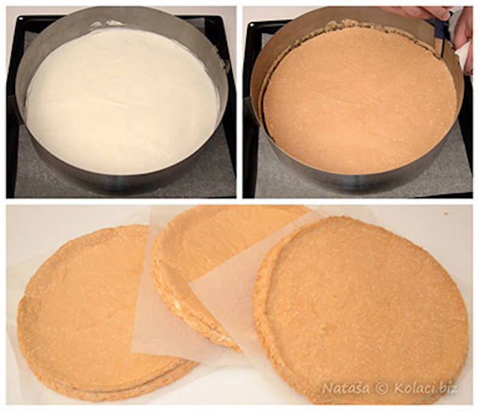 Tort de bezea cu fructe si frisca ingrediente