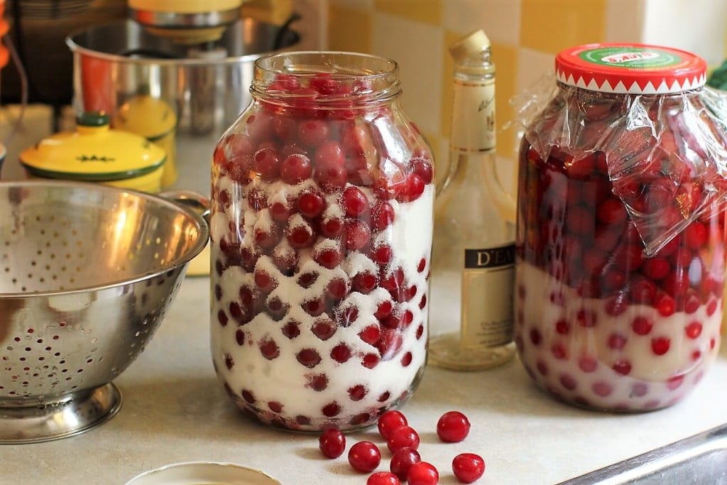 Rețeta mea preferată: vișinată cu coniac. Va deveni și preferata ta