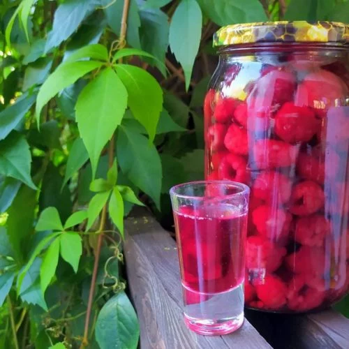 Lichior de zmeură făcut acasă &ndash; cunoscut și ca Zmeurată