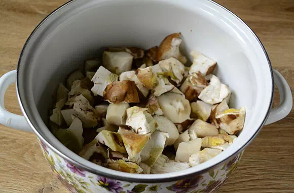 hribi pentru iarnă foto 3