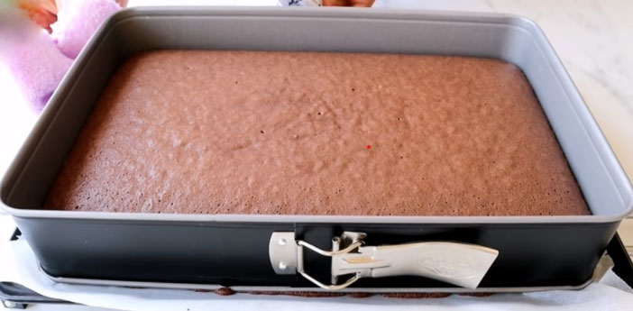 Prajitura cu cacao si crema