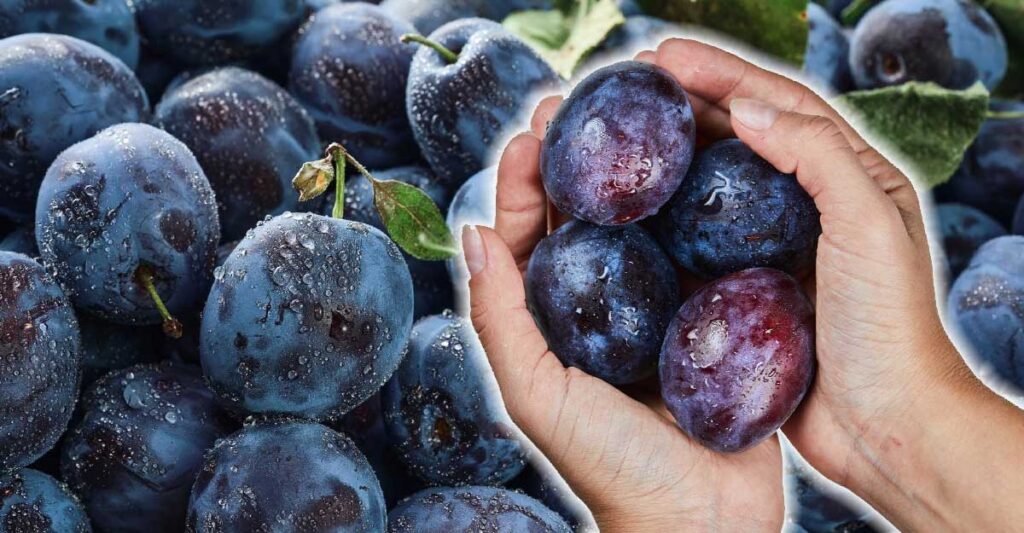 prune-efecte-benefice