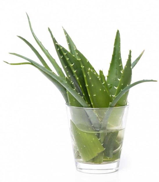 aloe-vera-efecte
