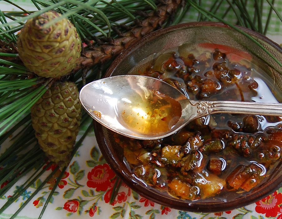 Gem din muguri de pin