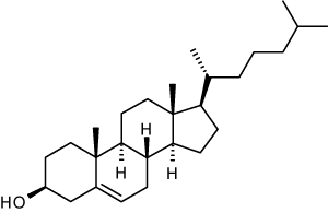 colesterol