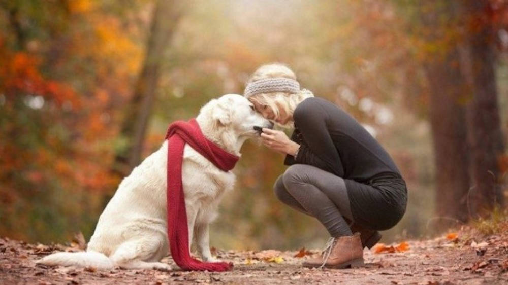 caine si om relatie stransa