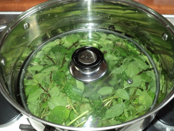 Sirop de mentă ideal pentru orice băutură 