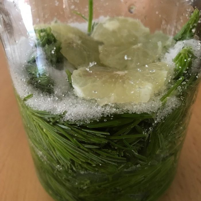 sirop din lăstari de brad