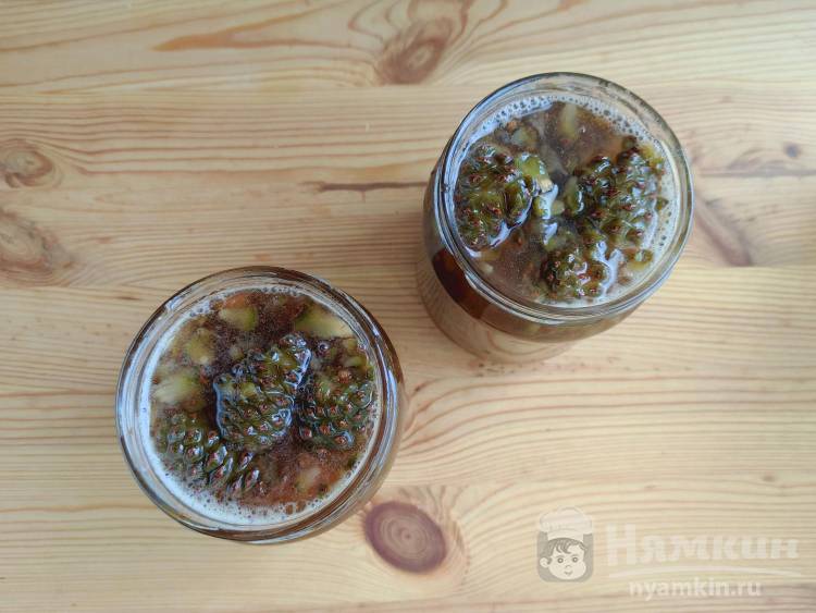 Cum să faci confitura de conuri de pin cu zahăr - foto pas 11